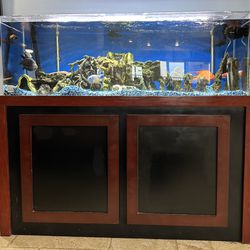 Acrylic Fish Tank With Fish!!!!
