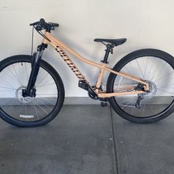 Specialized Bike