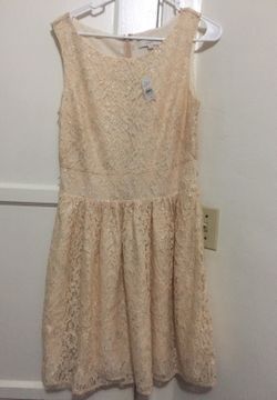 Lace dress from loft size 10 brand new with tags