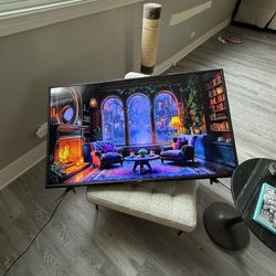 Vizio 50 Inch TV 