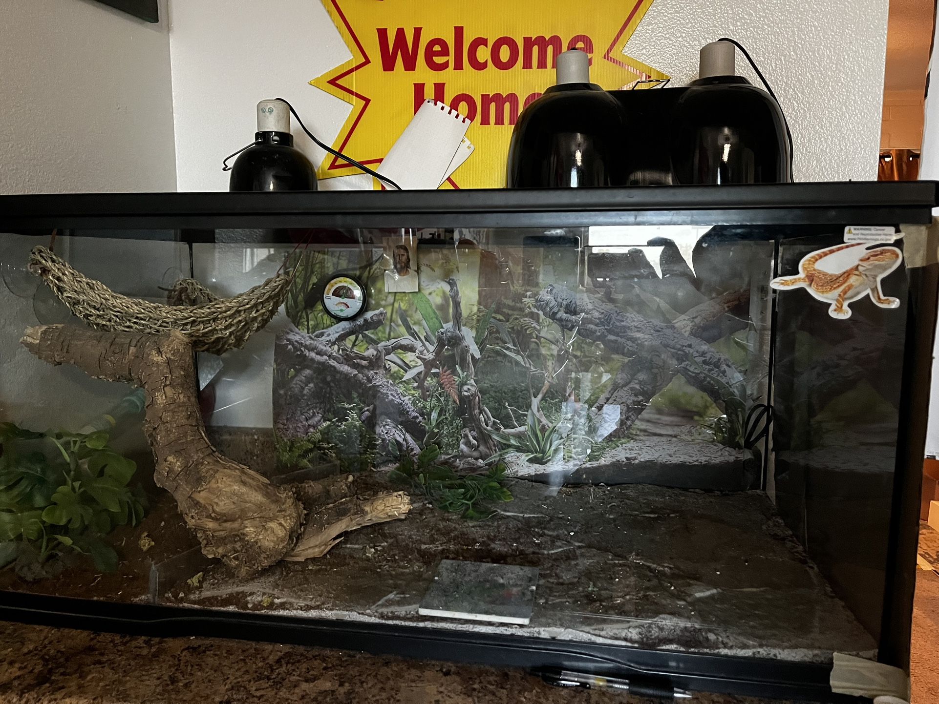 40gallon Tank 