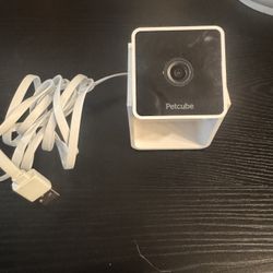 Pet Camera