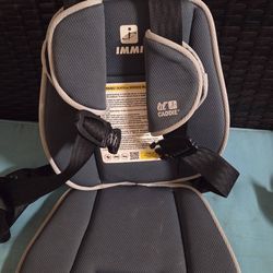 Golf cart carseat