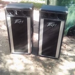 T-300 Peavey 