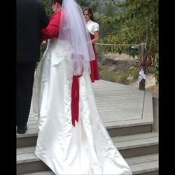 David's Bridal Wedding Dress 