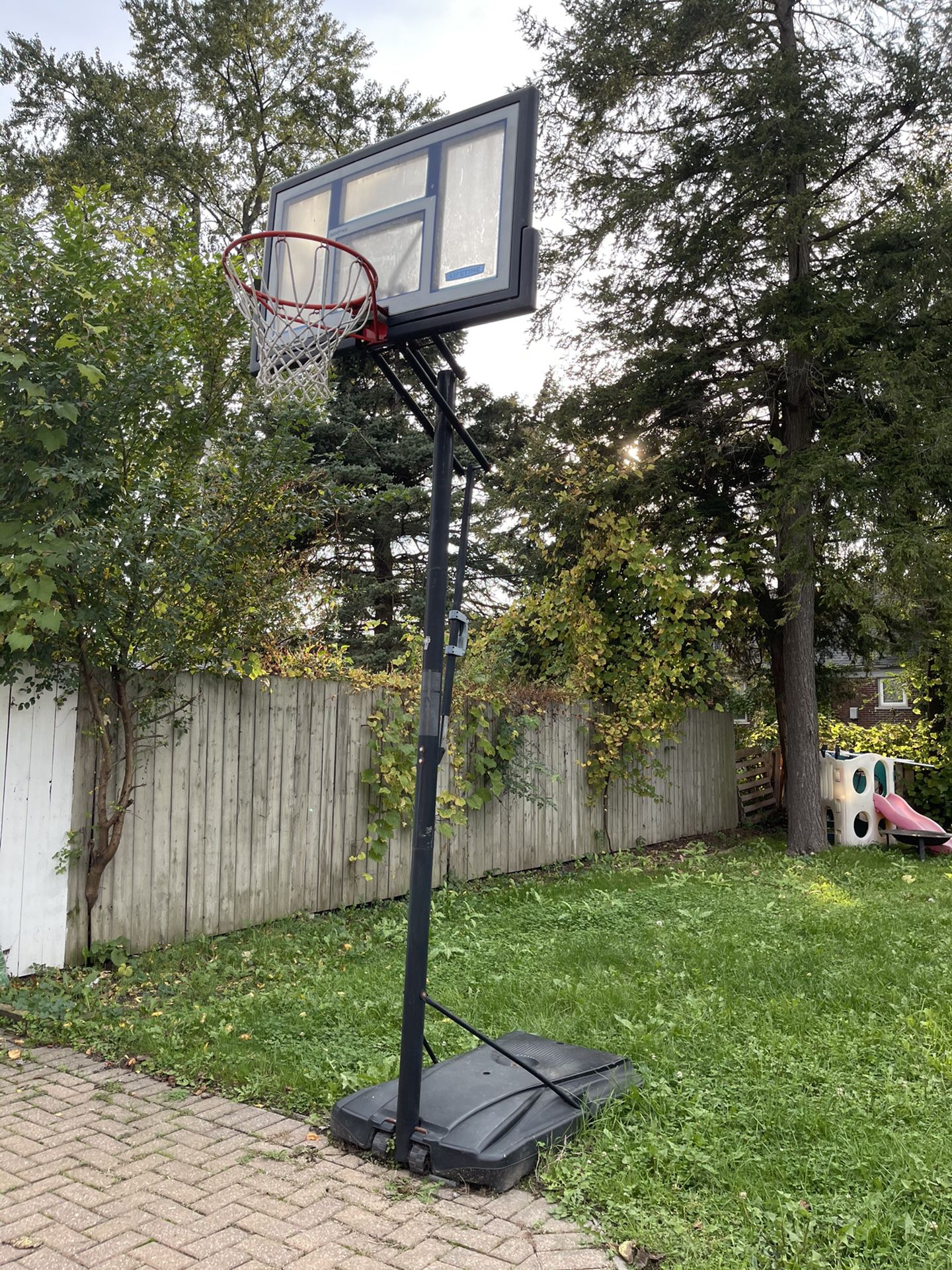 Lifetime basketball hoop