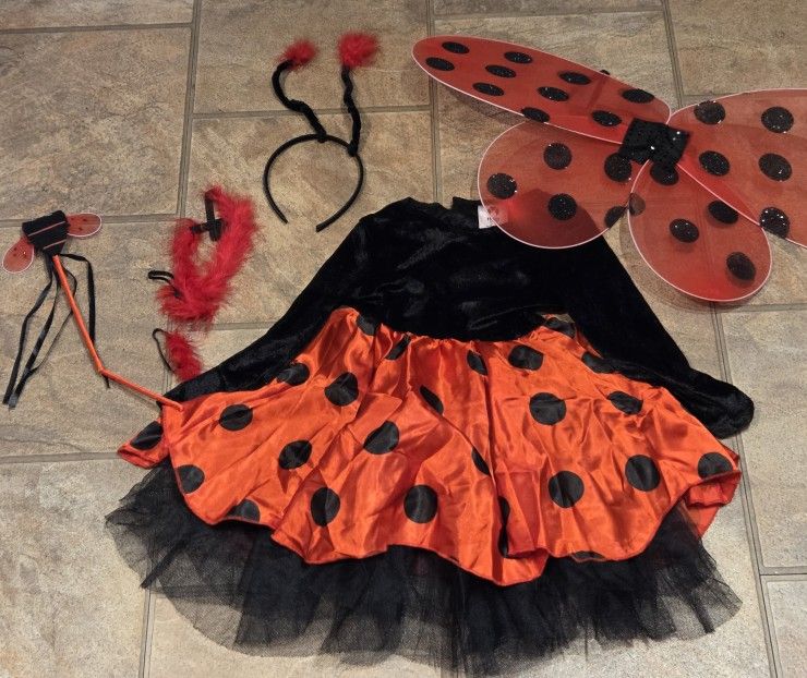 Ladybug Costume