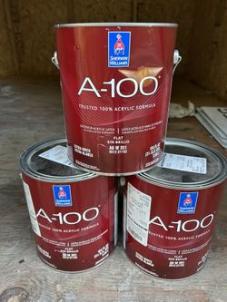 3 A-100 Exterior Acrylic Latex