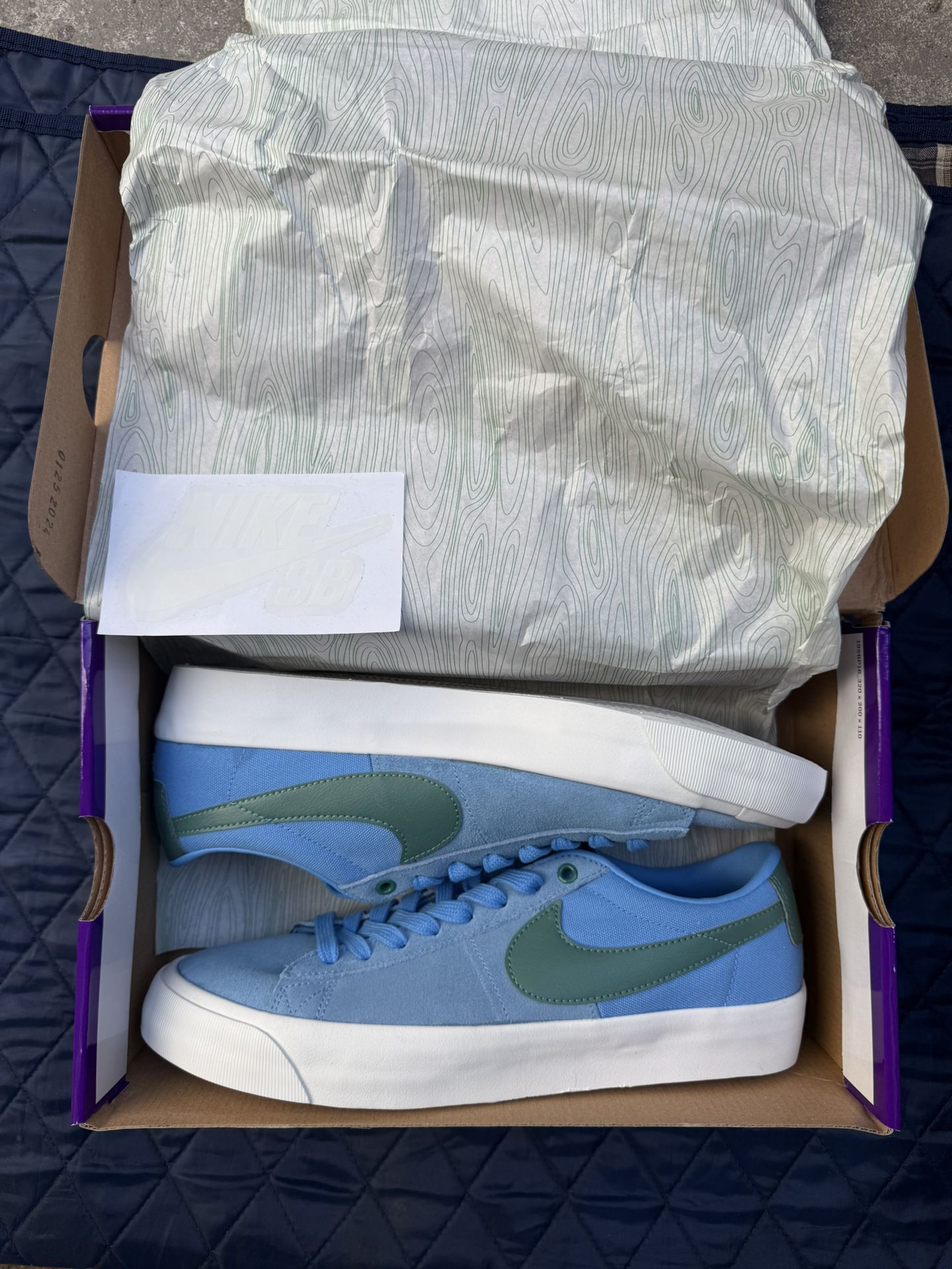 SB ZOOM BLAZER LOW PRO GT