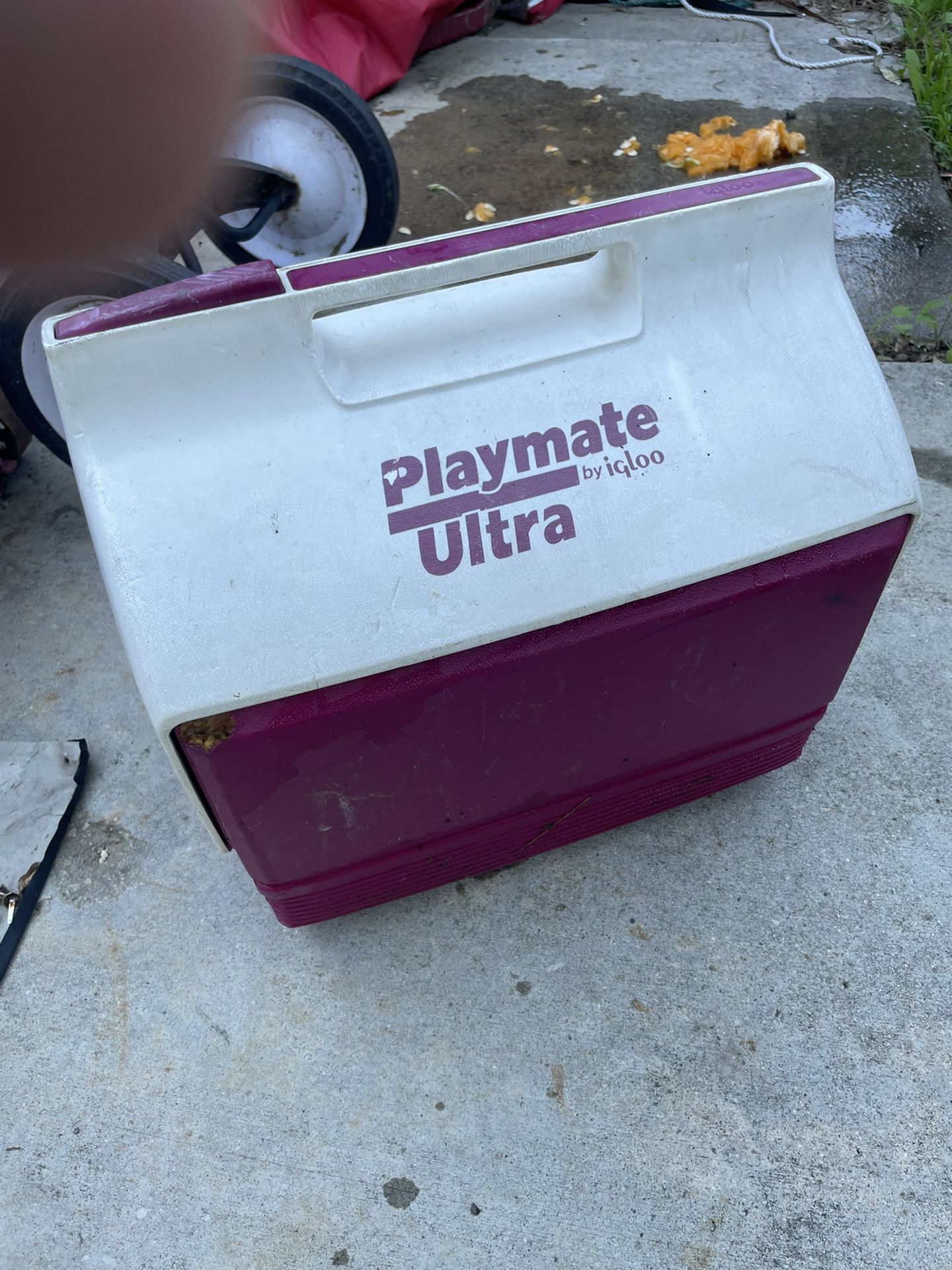 90’s Igloo Cooler