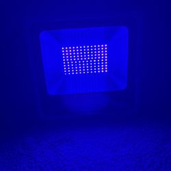 BLACK LIGHT NEED GONE 