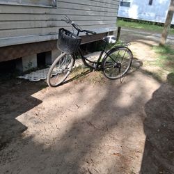Beach Cruiser