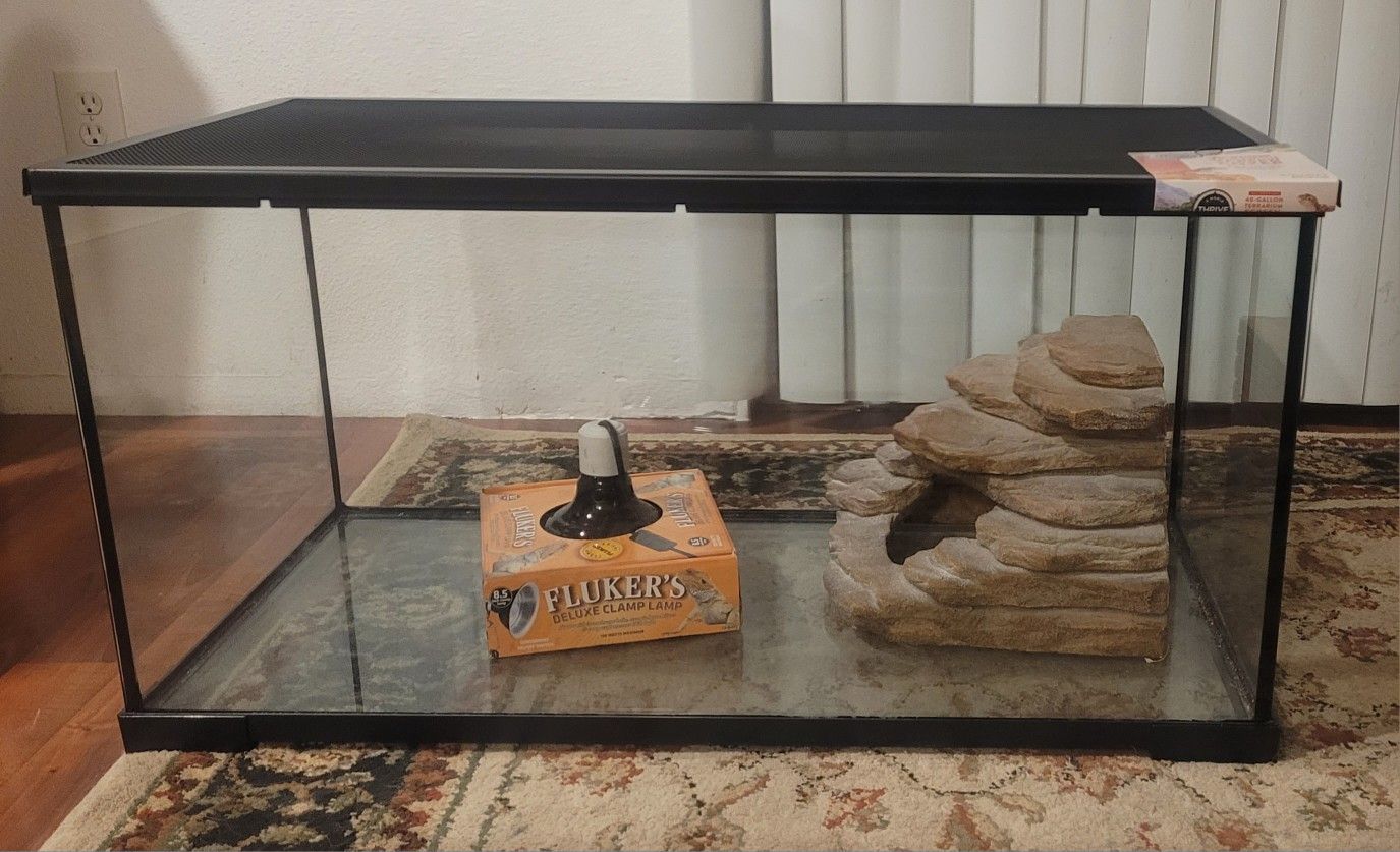 Bearded Dragon Vivarium