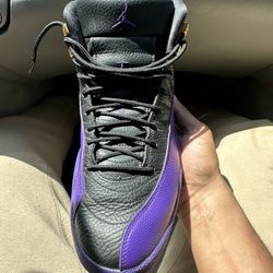 Jordan 12 Purple Field 
