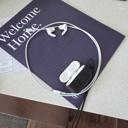 AirPod Pro2 ( Lightening ) with D Brand
case