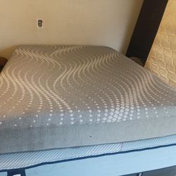 Sealy Queen Hybrid Mattress Only 