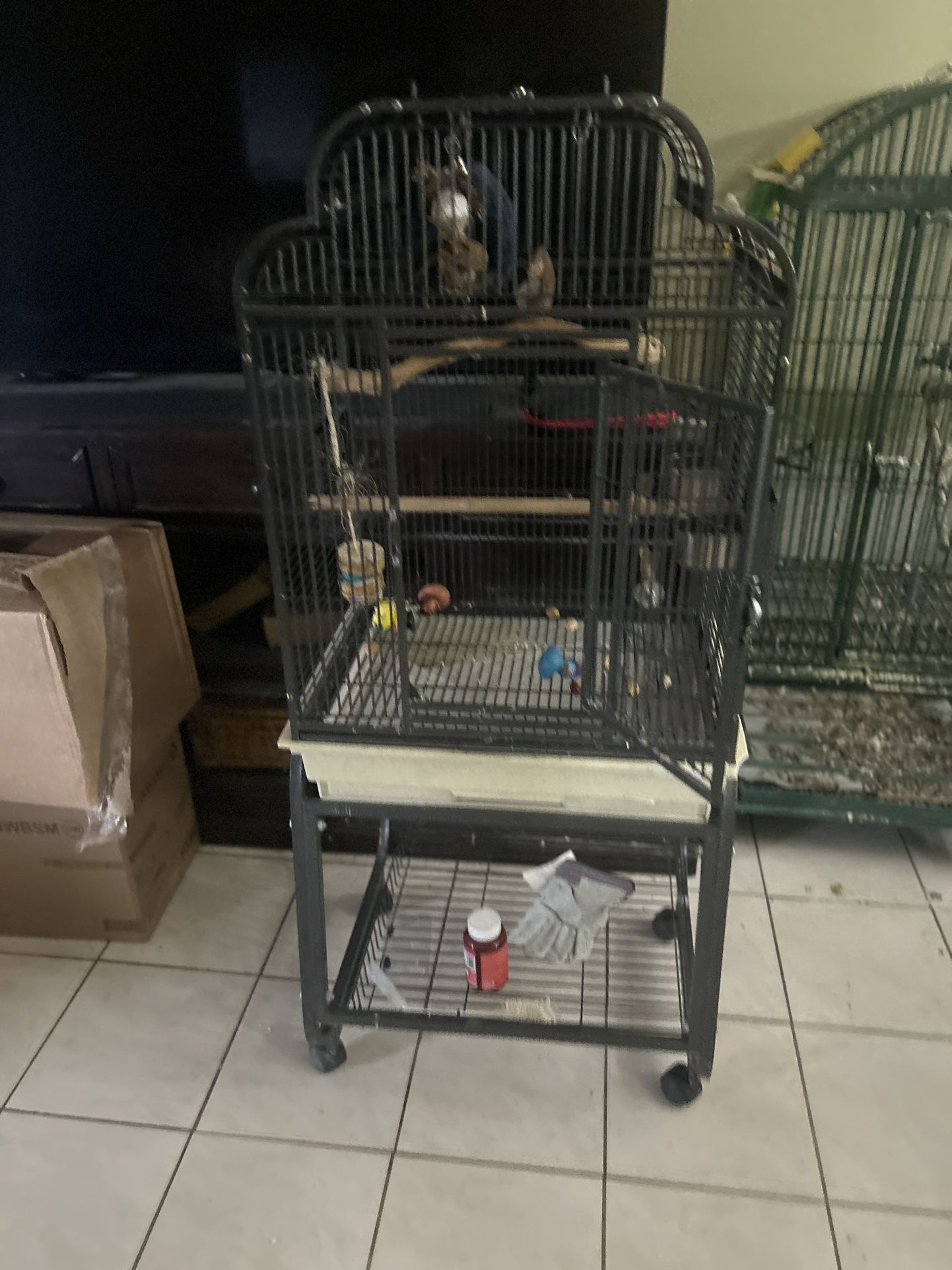 Parrot Bird Cage /stand