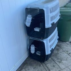 Dog Kennels 
