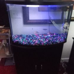 36 Gallon Fish Tank And Stand Set Up Everything You Need