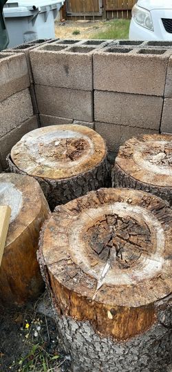 FREE TREE ROUNDS