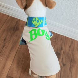 Ropa Nueva Para Mascotas