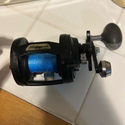 Shakespeare tidewater