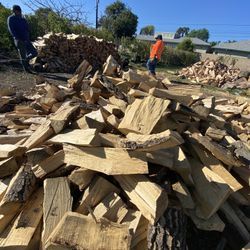 🪵Firewood 🪵