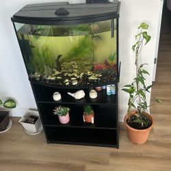 Fish Tank With Stand And Shelves 