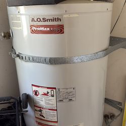 Water heater, The A.O. Smith ProMax series, including the ProMax+ seen in your ima
