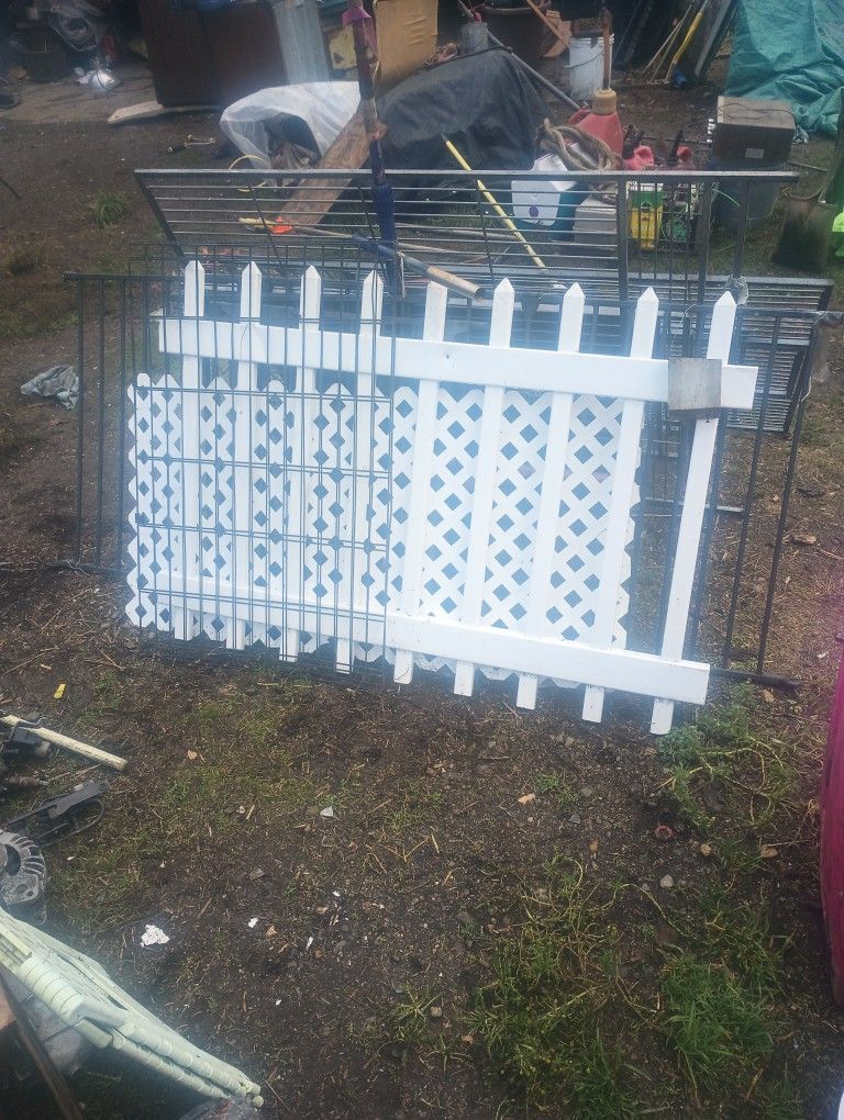 Birdcage And The Little White Picket Fence