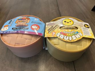 Mistery Dumplings squishy