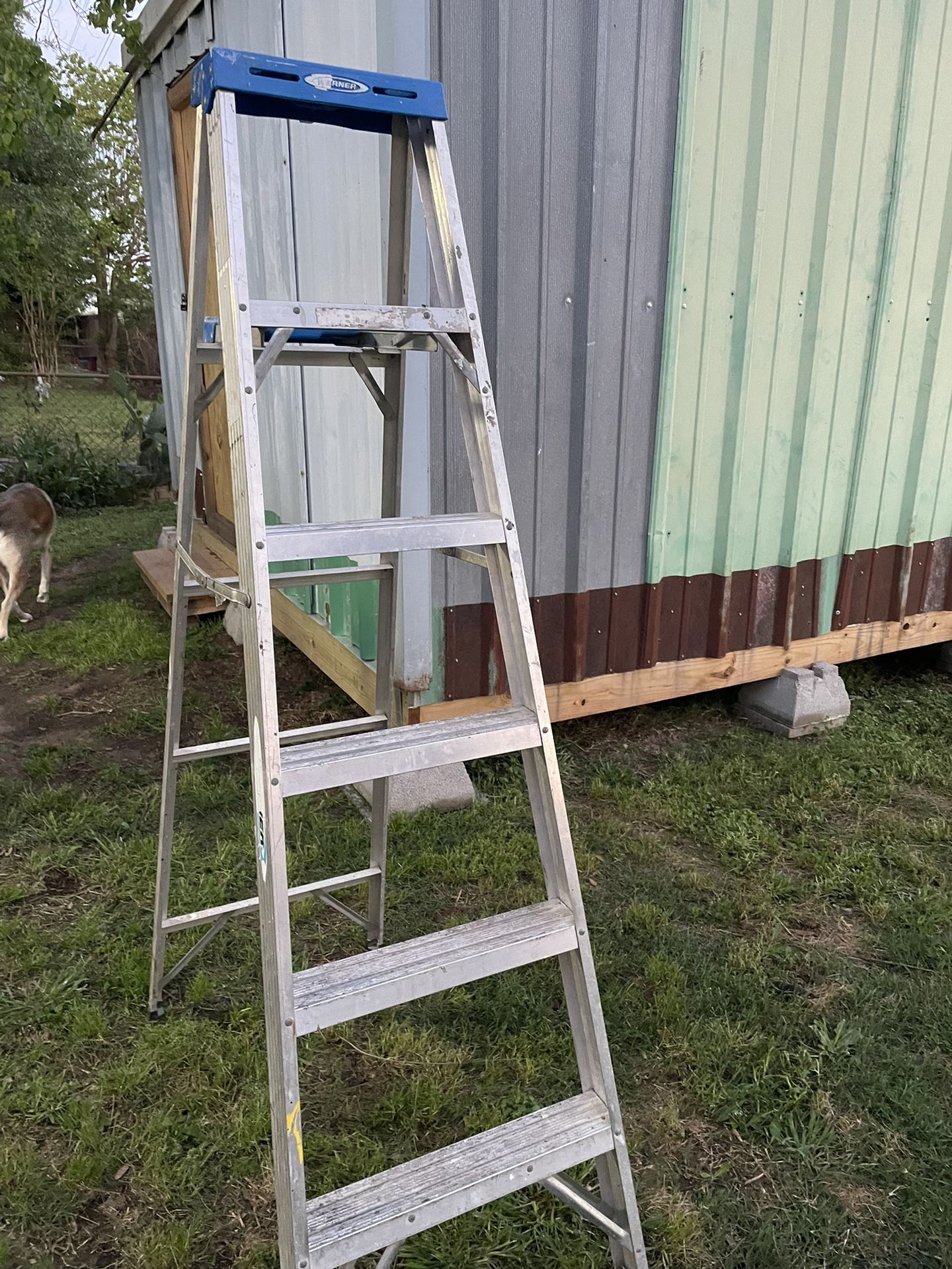 Werner 6Ft Ladder 