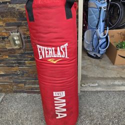 WOORKOUT BAG, Everlast 70 lb