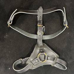 Cane Corso Equipment Collar Xxl Available 
