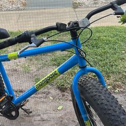 Blue Mongoose Bicycle