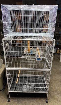 Bird Cages