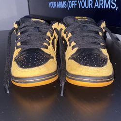 SB Dunk Lows Pro Series “Iowa” 