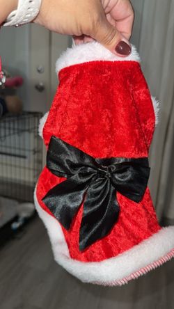 Small Dog Christmas Outfit 