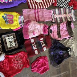 Pet Clothing And Accessories 