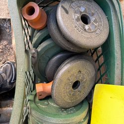 0.65 Cents  A Pound Weights (Pig Iron)  For Sale