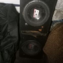 Two 10 Inch Subwoofers In Ported B