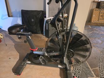 Schwain assault bike