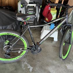 Adult Bike 