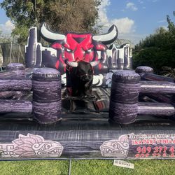 Bulls