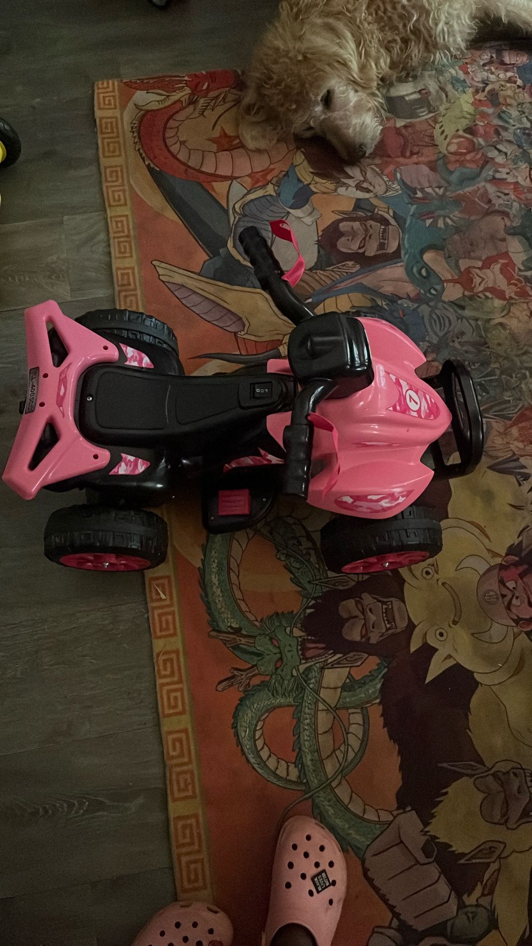 Toddler/ Kids Girl Motorbike