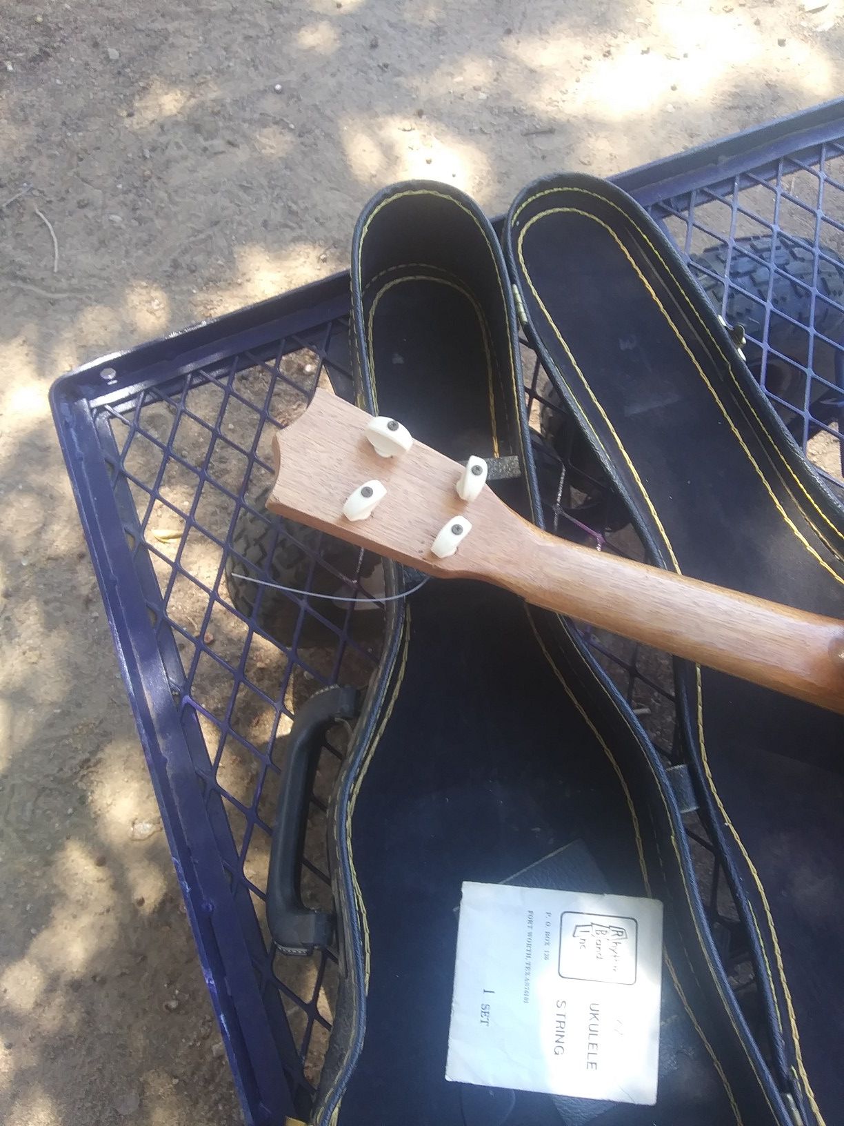 Ukulele for sale