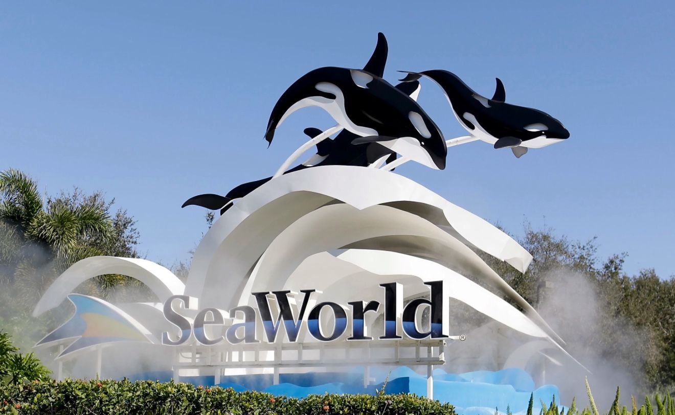 Seaworld Orlando Tickets $25 Each 
