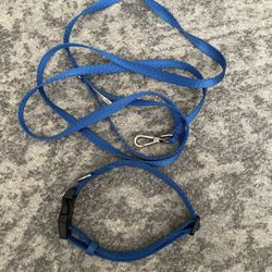 Small Dog Leash And Collar