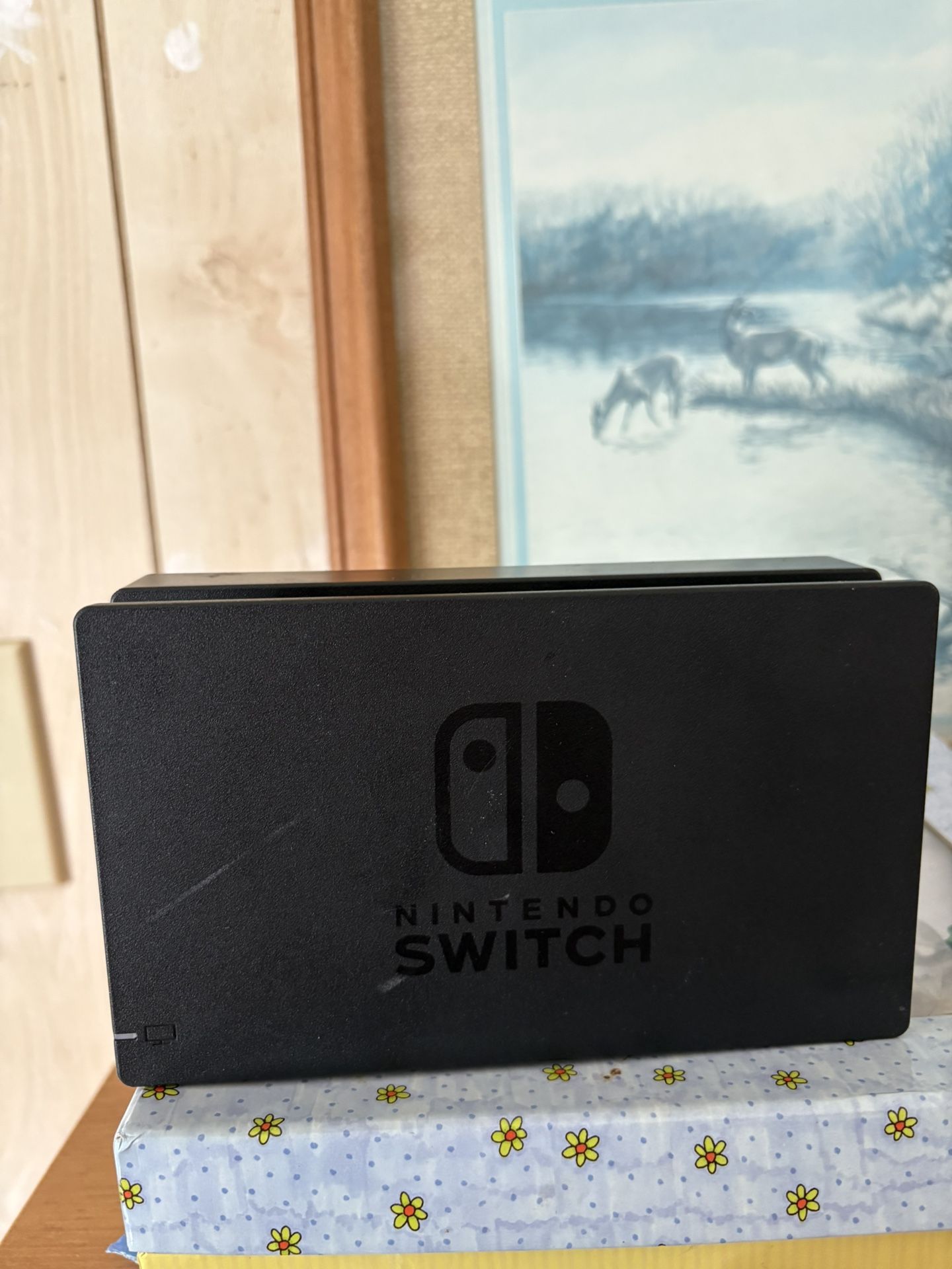 Nintendo Switch Dock
