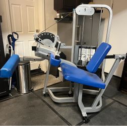 Cybex VR2 Seated Leg Curl